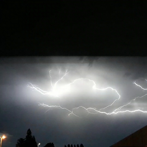 Meet your Posher, Janine - Picture 5 of 7